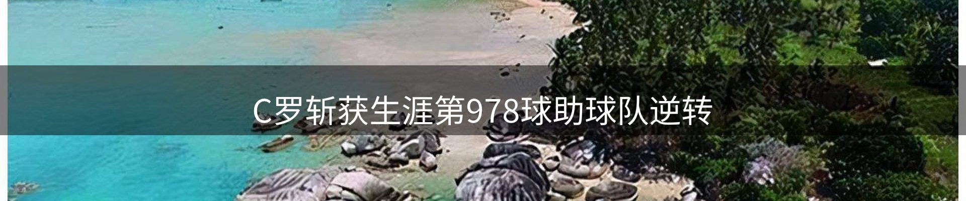 新闻报道